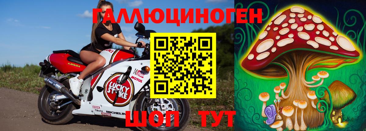 Псилоцибиновые грибы Psilocybine cubensis Анапа